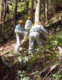 緑地工学コース専攻