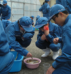 作物コース専攻