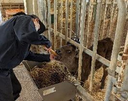 動物コース専攻