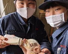 動物コース専攻