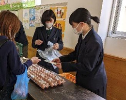 動物コース専攻