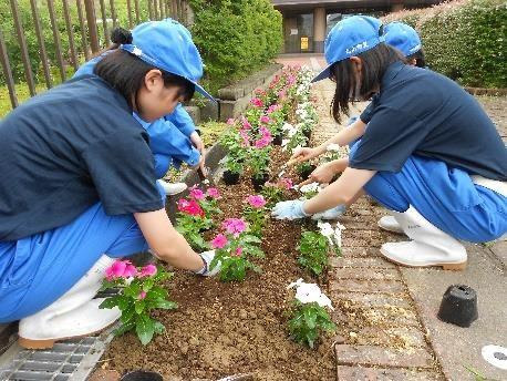 草花コース専攻